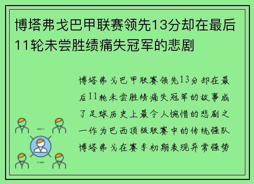 博塔弗戈巴甲联赛领先13分却在最后11轮未尝胜绩痛失冠军的悲剧
